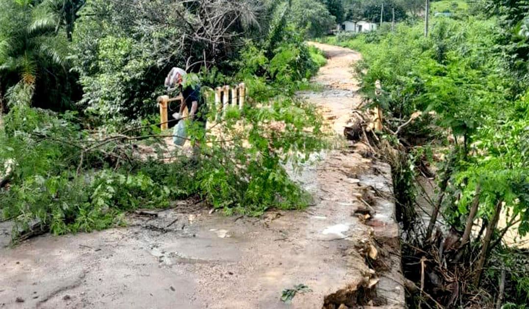 Santana do Cariri registra maior chuva em 20 anos e enfrenta alagamentos históricos
