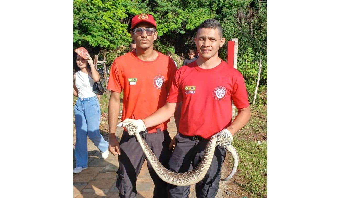 Cascavel assusta visitantes, mas ação rápida garante segurança no evento de inauguração do complexo da Menina Beigna