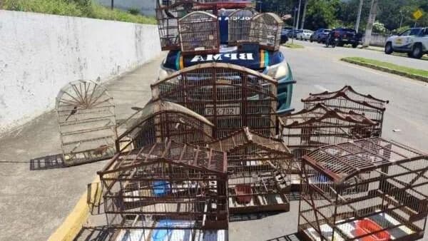 Mais de 15 aves silvestres são resgatadas em cativeiro irregular no Crato