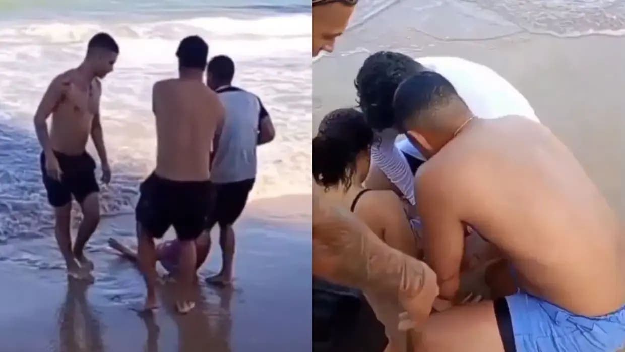 Tubarão arranca perna de jovem em praia do Recife