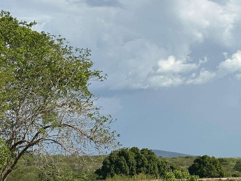 Cariri terá calor, aumento da nebulosidade e chance de chuvas isoladas nesta semana